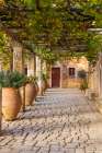 Greece, Crete, Rethymno. 16th century Eastern Orthodox Monastery. The Holy Monastery of Arkadi Art Print